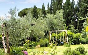 Agli Olivi di Marciano
